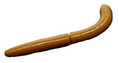 Libra Lures Мягкие приманки Libra Lures Fatty D'Worm Tournament 55mm Сыр #036