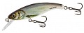 Salmo Slick Stick 60F RBL