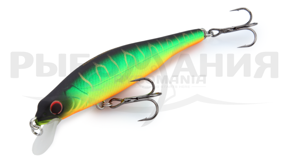  Zoner Minnow ZM70