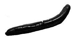 Libra Lures Мягкие приманки Libra Lures Fatty D'Worm Tournament 55mm Сыр #040