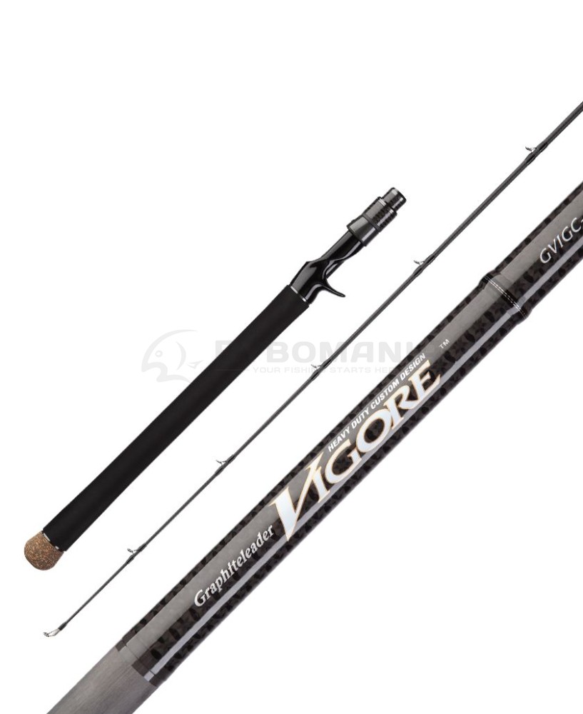  Vigore '20