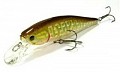 Lucky Craft Pointer 100 881 Ghost Northern Pike