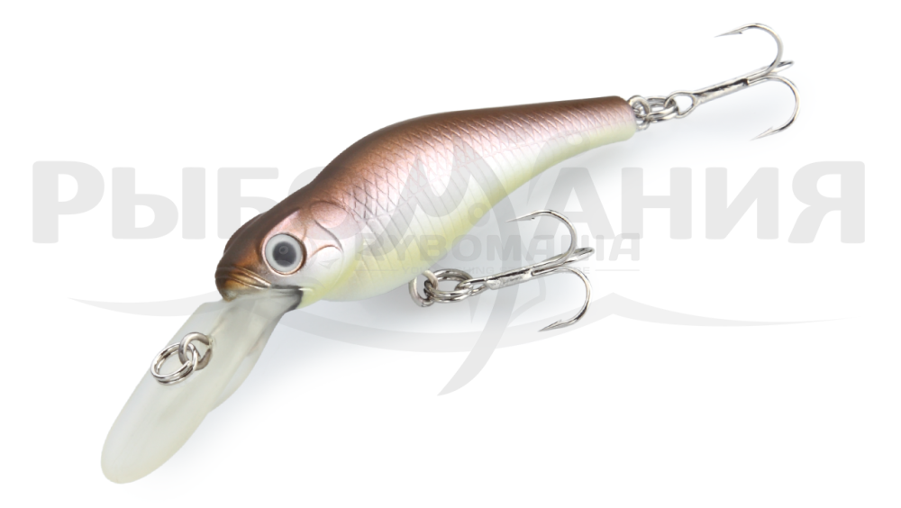  Spin-Move Shad