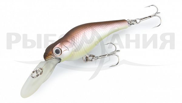  Spin-Move Shad