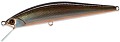 DUO Grace Minnow Elena 70F N147