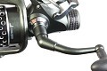 Diamond Carp 5  Diamond Carp 5
