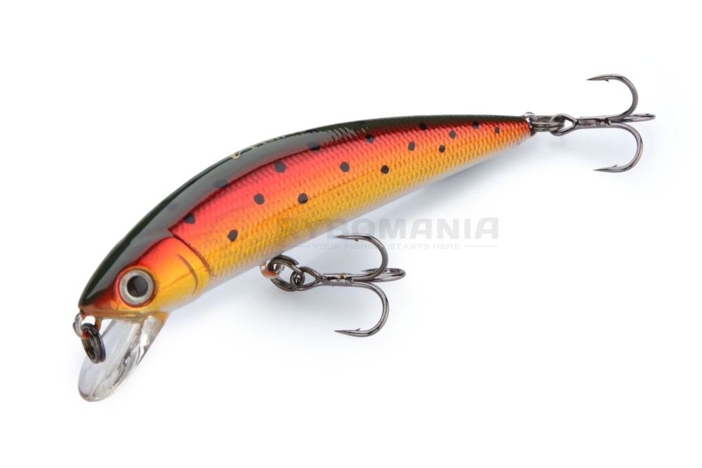  I Fish 7F