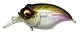 Megabass Griffon SR-X New Воблер Megabass  GG Moss Gin