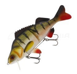 Percy the Perch Hybrid