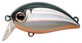 Zipbaits Hickory SSR #811