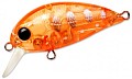 Pontoon21 Hypnose 38F-SR #R46 TP Orange