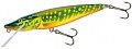 Salmo Pike JDR 110 HPE