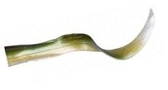 Savage Gear Запасной хвост Savage Gear 3D LB Hard Eel Tails 17cm #10-Green Silver