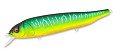 Megabass Lates Mat Tiger