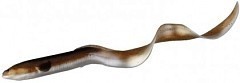 Savage Gear Мягкие приманки Savage Gear LB Real Eel 20cm 27g+5g 02-Olive Pearl NL