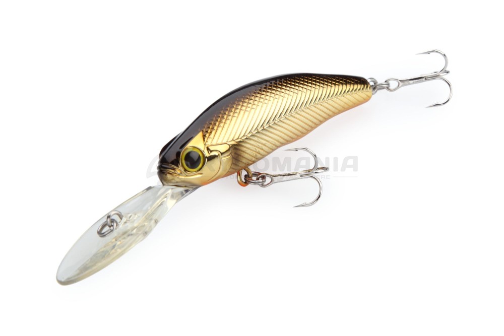  C.C.Predator