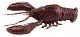 Megabass Sleeper Craw Мягкие приманки Megabass  uchida craw