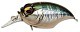 Megabass Griffon SR-X New Воблер Megabass  wagin hasu III