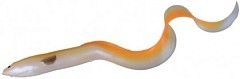 Savage Gear Мягкие приманки Savage Gear LB Real Eel 40cm 25-Albino Eel 50401-001