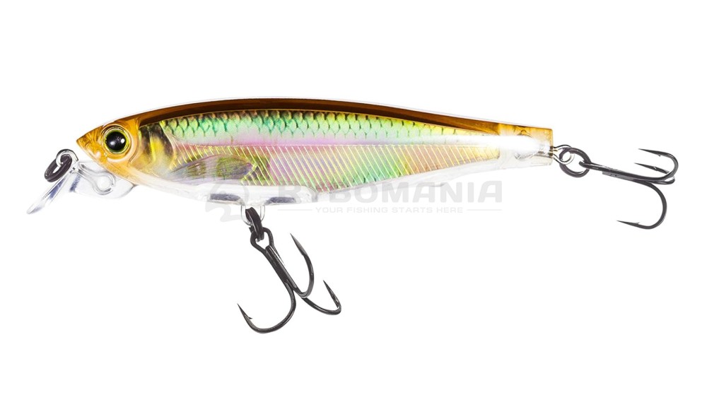  3DR Minnow 70SP