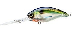 Yo-Zuri Воблер Yo-Zuri 3DB Deep Crank 70F F1108-PSSH