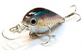 Lucky Craft Clutch MR 270 MS American Shad