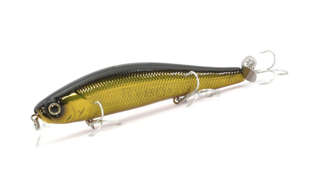  Spiral Minnow