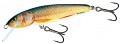 Salmo Minnow 50F RR