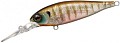 EverGreen Bank Shad Mid 246