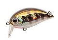 Zipbaits Hickory MDR #509