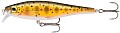 Rapala BX Minnow 10 TR